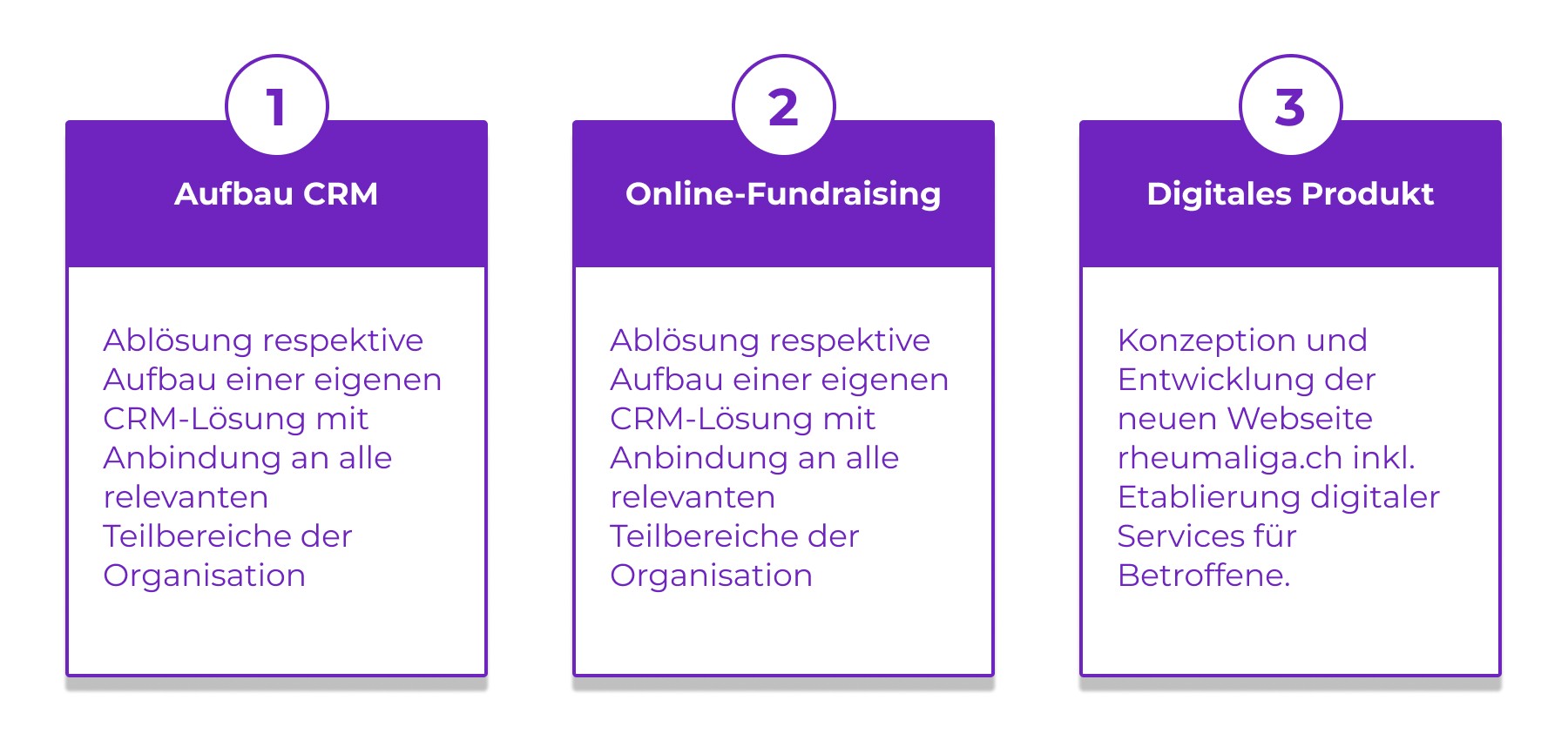 Fokus der Umsetzung digitale Transformation Rheumaliga